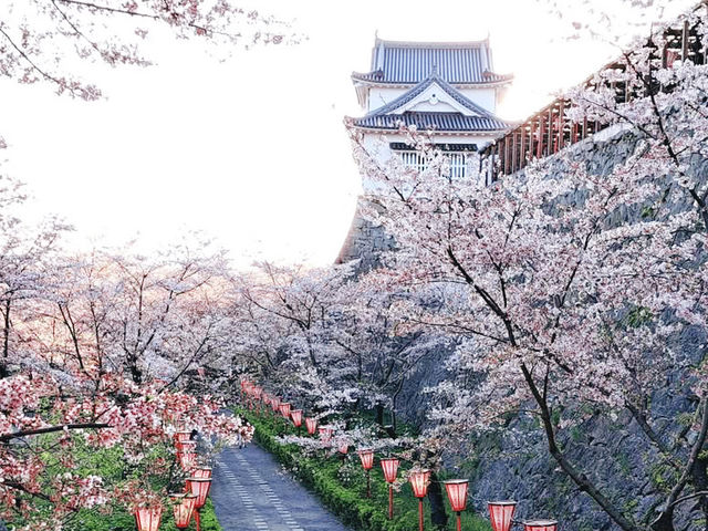 The Castle in the Mist: My Return to Tsuyama Castle