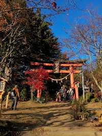Awesome Mt. Fuji Views at Arakurayama Sengen Park, Japan
