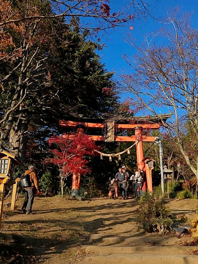 Awesome Mt. Fuji Views at Arakurayama Sengen Park, Japan