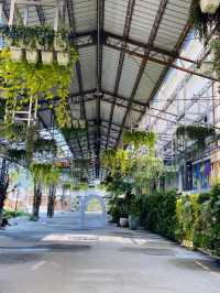 台版teamlab🎨 小孩愛瘋的沈浸式體驗 屏菸1936文化基地