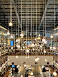 📖 A Cozy Afternoon at Tsutaya Bookstore, Kashiwanoha T-SITE