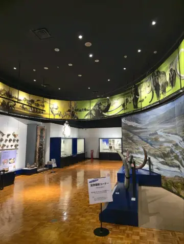 海外旅行札幌必看的展覽 北海道博物館。