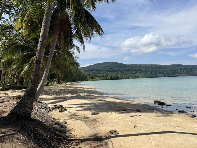 Lonely Beach- Crystal Sands Escape🌊