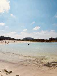 A Windsurfer's and Kiter's Paradise