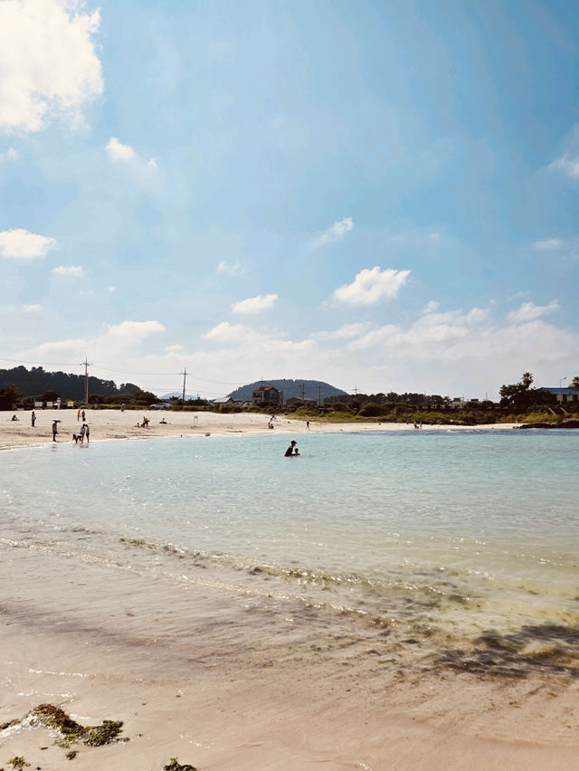 A Windsurfer's and Kiter's Paradise