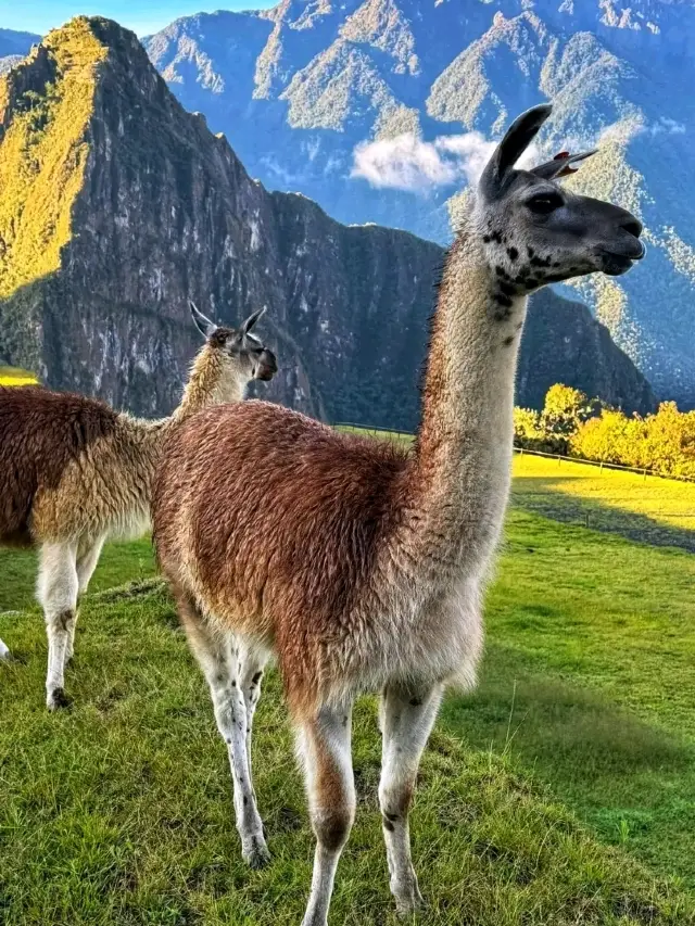 🏔️ Machu Picchu Valley – The Mystical Gateway to the Lost City of the Incas