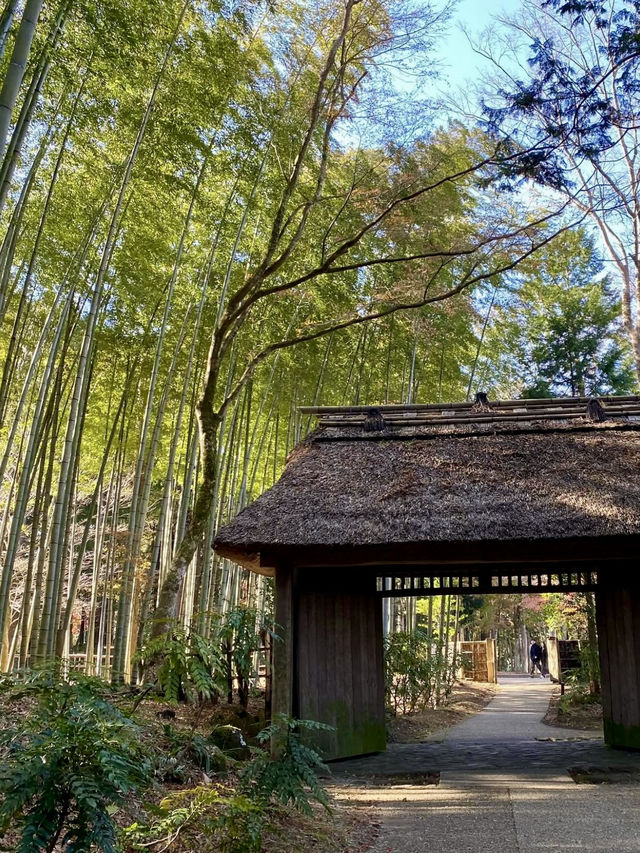 🍃 Nature, Architecture, and Sweets at Toraya Kobo in Gotemba 🍃 Nature, Architecture, and Sweets at Toraya Kobo in Gotemba