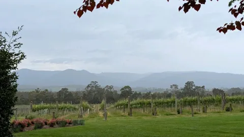 Ready to escape Melbourne for a day and live that luxe viney — traveler post in Coldstream