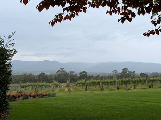 Ready to escape Melbourne for a day and live that luxe vineyard life? 🍾 Coldstream’s CHANDON Australia is the spot you NEED to hit if you’re all about sparkling wine, killer views, and top-tier eats! From the moment I arrived at 727 Maroondah Hwy, the lush vineyards set the mood for a celebration.
Here’s the ultimate guide to making the most of your visit:
Must-See:
· Head for a tasting flight at CHANDON, open 11:00–16:30 (closed Dec 25–26). Ask for their signature sparkling and try the cuvée — local tip: staff are super friendly about sharing how they make those gorgeous bubbles!
· Don’t skip the vineyard tour. You’ll get major Insta-worthy photos with rolling Yarra Valley hills as your backdrop.
· FOOD ALERT: Their on-site restaurant is a highlight. I paired my bubbly with locally-inspired plates (seasonal menus, so always something fresh). Their oysters with sparkling are next-level! 🍽️
Pro Tips:
· Book your tasting ahead online via trip.com to lock in your spot (this place gets busy, especially on weekends and holidays).
· Bring a light jacket, even in summer—the cool breeze sneaks in!
· If you’re driving, allow for vineyard time + lunch (around 3-4 hours is perfect). There’s free parking onsite.
· If you’re coming from Melbourne, car is easiest—about 1 hour on the Eastlink!
Getting Around:
Rental car is best for max flexibility, especially if you want to hit other Yarra Valley spots after.
Key Tips:
No need for a visa if you’re already in Australia. Card payments are widely accepted. The weather can change fast—layer up!
Hashtags: #YarraValley #WineLover #CHANDONExperience #AustraliaTravel #tripdotcom