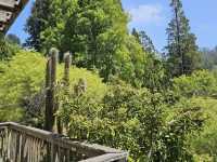 University of California Botanical Garden