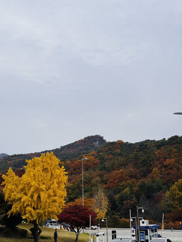 Beauty of K-Autumn 🥹