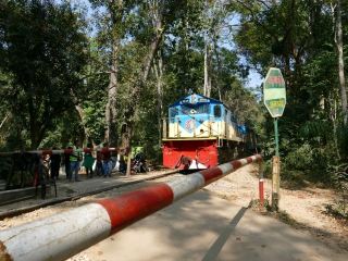 Forest Train Ride🚂 Lawachora syllhet 🌞
