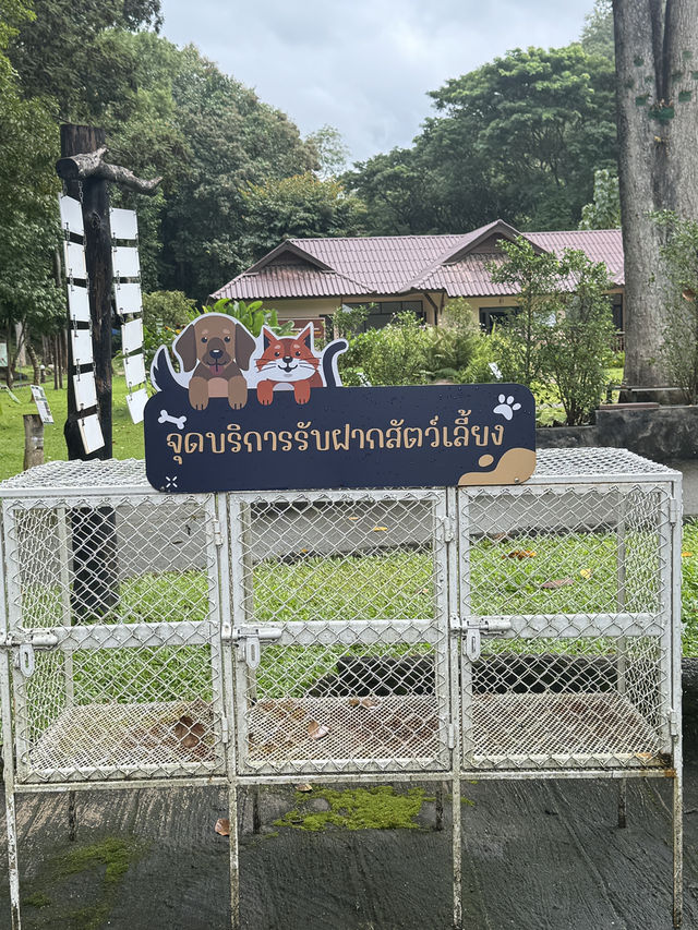 อุทยานแม่ตะไคร้ — สูดอากาศบริสุทธิ์พร้อมเพื่อนขนฟู อุทยานแม่ตะไคร้ — สูดอากาศบริสุทธิ์พร้อมเพื่อนขนฟู