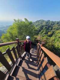 【新田步道・輕登小百岳-聚興山｜的山林小旅行】