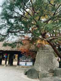 Fall for Korean Folk Village 🍂🎭