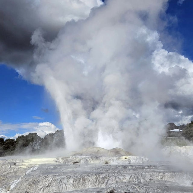 🌋紐西蘭地熱探秘｜蒂普亞 Te Puia 必打卡壯觀間歇泉！