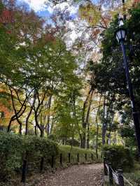 A Hidden Autumn Retreat in the Heart of Azabu