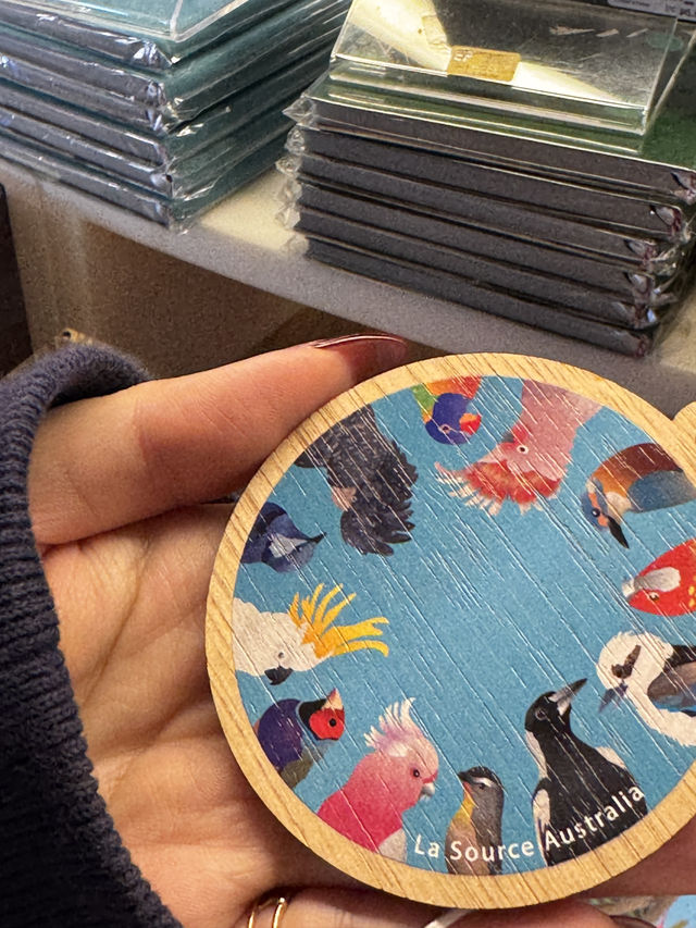 推薦歌劇院周邊散步路線悉尼歌劇院深度遊🔥 世界文化遺產，貝殼建築靚到捨唔得走！