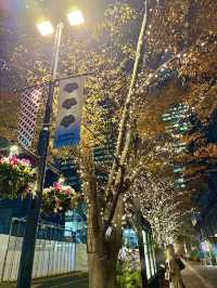 A night stroll through glowing art & lights