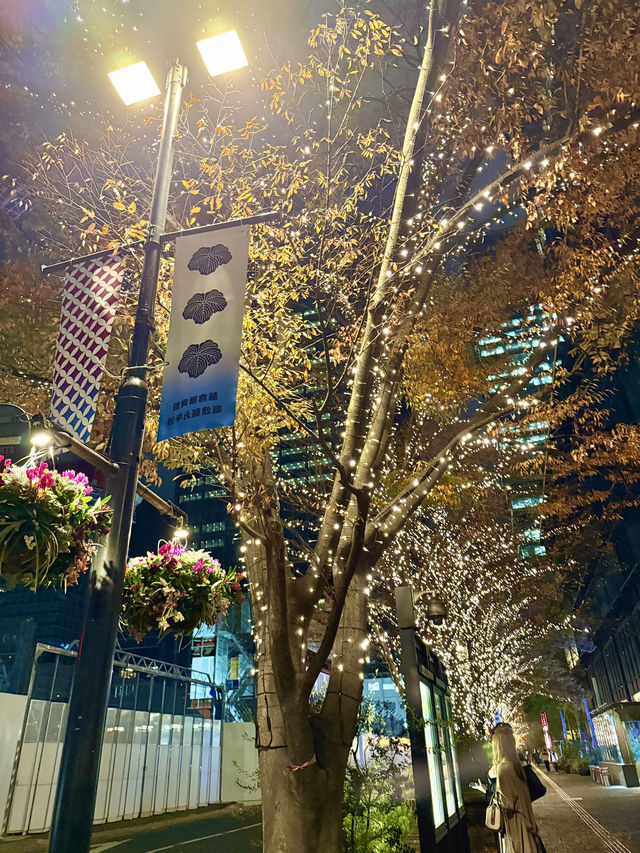 A night stroll through glowing art & lights A night stroll through glowing art & lights