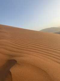 【世界最古の砂漠】ナミブ砂漠🇳🇦