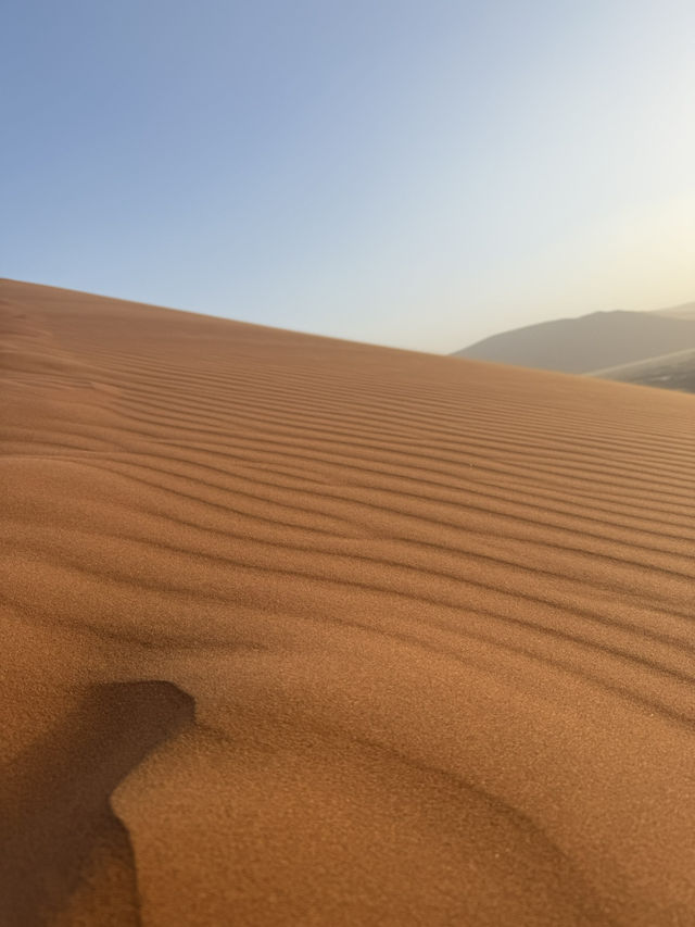 【世界最古の砂漠】ナミブ砂漠🇳🇦