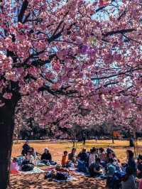 Studio Ghibli Museum ✨💕 Tokyo