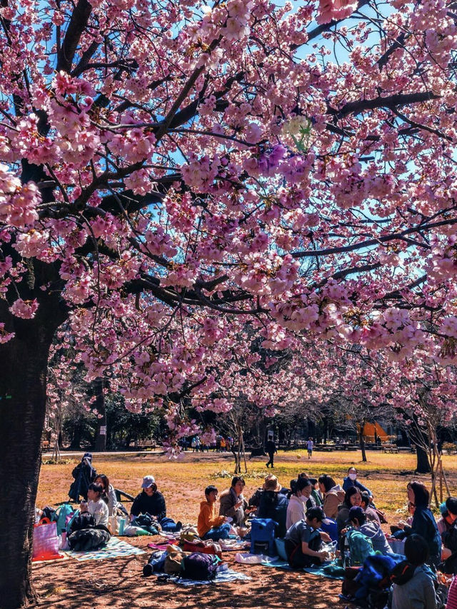 Studio Ghibli Museum ✨💕 Tokyo