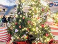 A Curated Season of Borrowed Light At Go Park Sai Sha