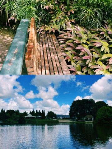 紐西蘭漢密爾頓花園：漫步變身旅程