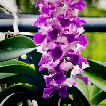 Sungai Long Staycation: Calm Hills, Good Food & Quality Family Time