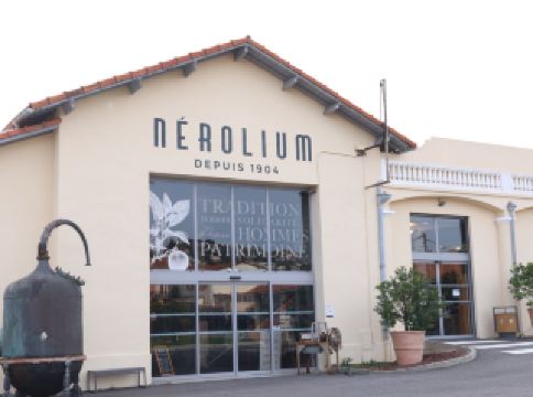 [A place where you can experience traditional craftsmanship] Museum Nerorium