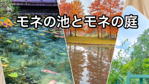 【岐阜・兵庫・高知】 モネの池と庭 — traveler post in 三田市