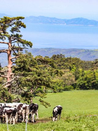 [Tottori Prefecture, Mt. Daisen] The breathtaking view from the summit is a must-see!