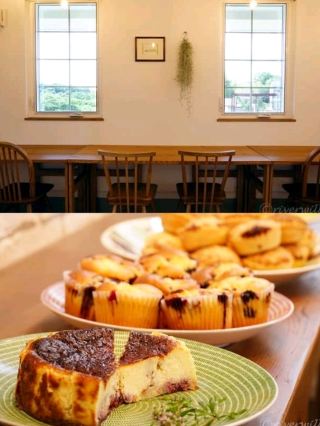 [Chiba] Summer Exclusive! Unlimited Time All-You-Can-Eat Blueberry Picking! Plus, Exquisite Sweets.