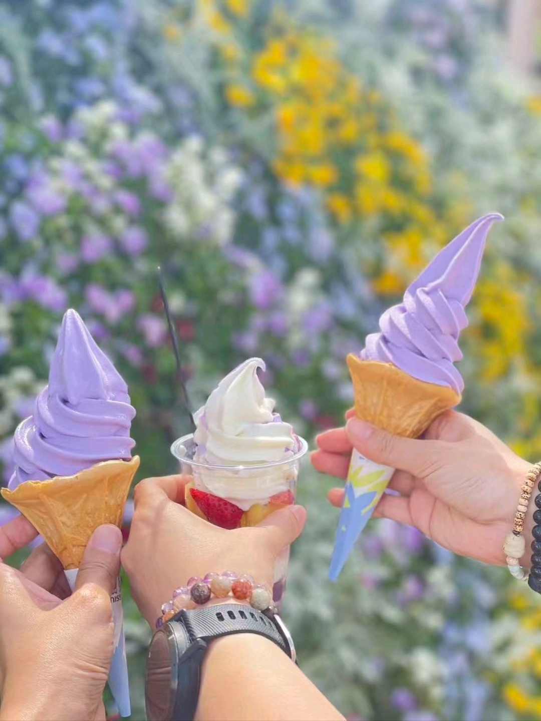 7-Day Self-Drive Itinerary to See Cherry Blossoms and Wisteria in Tokyo, Kita-Tokyo, and Kansai Regions from April 9th ​​to 15th