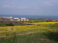 Udo, Jeju: Korea’s Coral Island