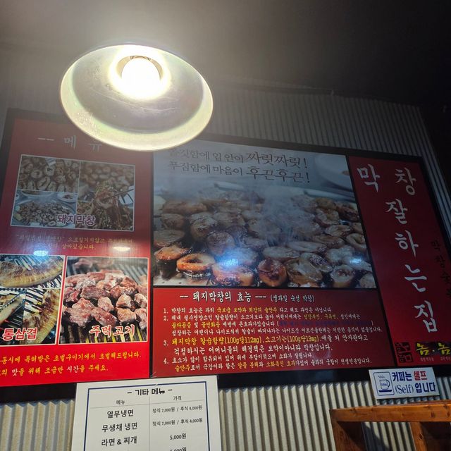 서귀포 중문 맛집)막창먹는놈 - 새벽 늦게까지 영업하는 중문동 막창, 삼겹살 맛집 / 중문관광단지 고기집