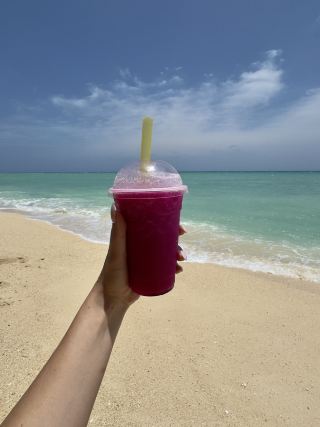 去長灘島旅遊的最佳時間是什麼時候：冬天還是夏天？ 🌴