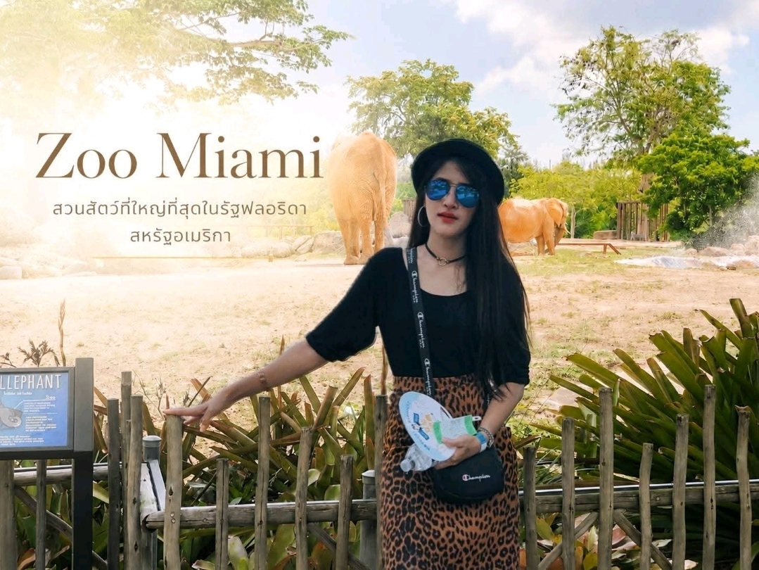อเมริกาครั้งแรก 🦁 ถ้ามีเวลาเที่ยว Miami แค่ 1 วัน Zoo Miami  คือหนึ่งในสถานที่ที่อยากแนะนำมากที่สุด! 🇺🇸💚

นี่เป็นครั้งแรกที่ได้มาเที่ยวอเมริกา และหนึ่งในสถานที่ที่ทำให้ประทับใจเกินคาดก็คือ Zoo Miami สวนสัตว์ขนาดใหญ่ที่ใช้เวลาเดินเที่ยวได้ทั้งวันแบบไม่มีเบื่อ

ถ้าใครกำลังมีแพลนมาเที่ยว Miami บอกเลยว่าอย่าพลาดที่นี่ เพราะนอกจากจะได้ใกล้ชิดกับสัตว์จากหลายทวีปแล้ว ยังเป็นสถานที่ที่เหมาะกับทุกคนในครอบครัว และเป็นอีกหนึ่งความประทับใจที่เราอยากแนะนำจากใจเลยค่ะ ❤️

#ZooMiami  #Miami  #Florida  #เที่ยวอเมริกา  #USA  #FamilyTrip  #เที่ยวกับครอบครัว  #Travel    #สวนสัตว์  #เที่ยวต่างประเทศ 