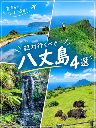 🇯🇵東京から55分！行ってよかった絶景4選✈️