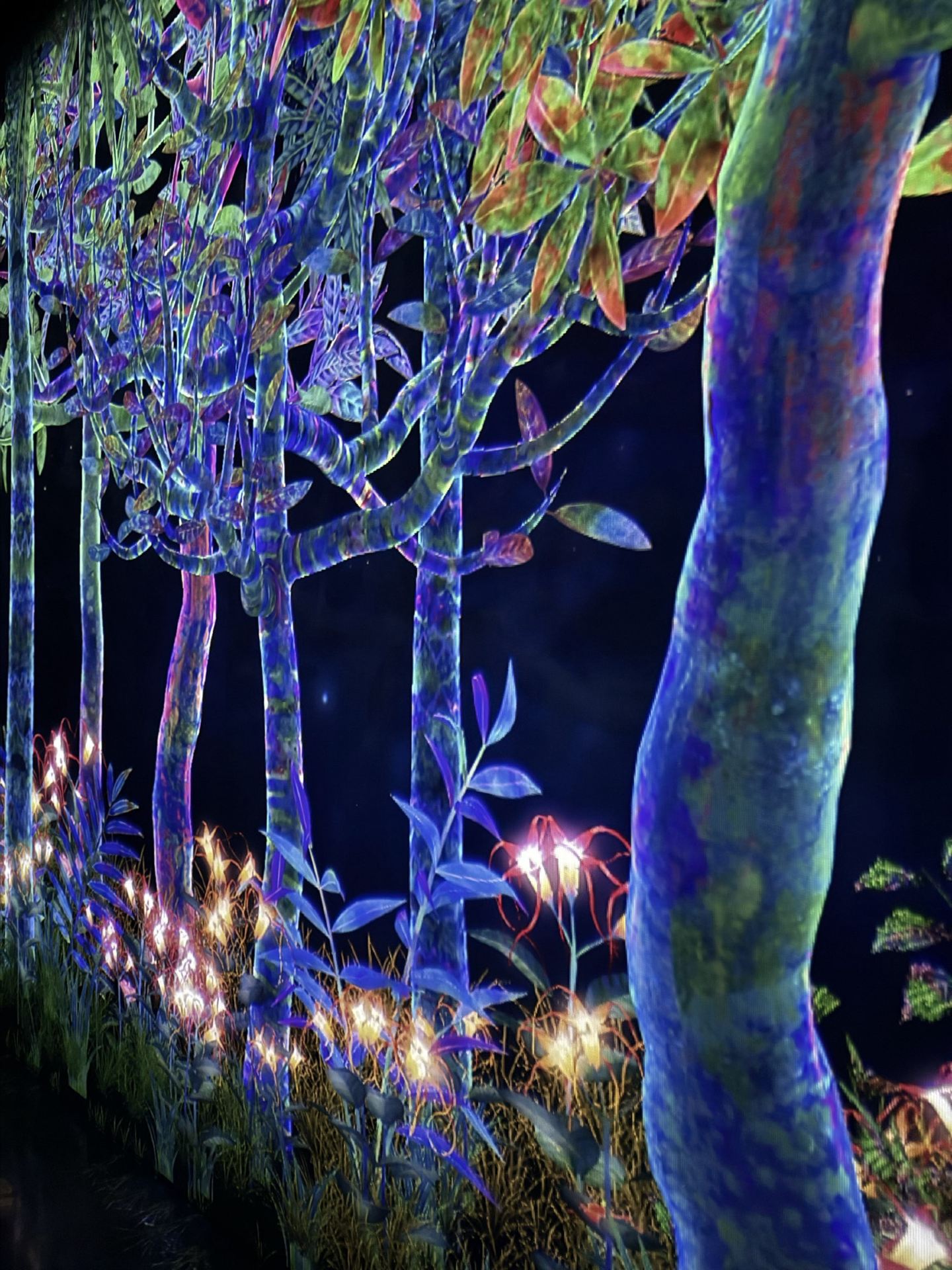A Magical Adventure in Light and Shadow: My Journey to teamLab Forest Fukuoka.