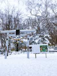 🏔️🚠 Mt. Tengu | นั่งกระเช้าชมวิวโอตารุ 🇯🇵❄️