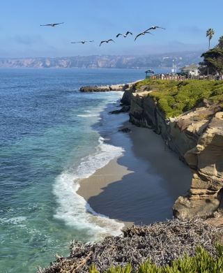 🇺🇸 聖地牙哥 | 陽光、沙灘與悠閒的加州風情 🌴🌊