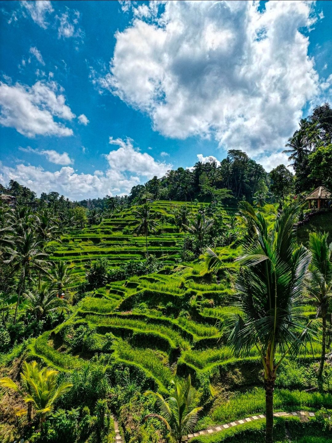 Bali, Indonesia — Di Mana Setiap Momen Terasa Begitu Istimewa