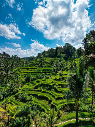 🌺 Bali, Indonesia — Where Every Moment Feels Like a Dream 🌺

Bali is more than just a destination; it is a feeling you carry with you long after the journey ends. From the emerald-green rice terraces of Ubud to the dramatic cliffs of Nusa Penida, every corner of Bali feels like a living postcard. 🌿🌊

Watch the sunset at Tanah Lot, discover the peaceful beauty of Ulun Danu Beratan, wander through the charming streets of Ubud, or simply relax beside the turquoise waters and let the island slow you down.

Bali is where nature, culture, spirituality, adventure, and serenity come together beautifully. A place to explore, to breathe, to fall in love with the journey—and to create memories that stay forever. ✨

Bali — come for the beauty, stay for the feeling. 🌴💚

#Bali  #BaliIndonesia  #VisitBali  #ExploreBali  #NusaPenida  #UbudBali  #TanahLot  #BaliTravel  #IndonesiaTravel  #TravelMore  #ExploreMore  #LiveMore  #Wanderlust #travel2026 #travel 