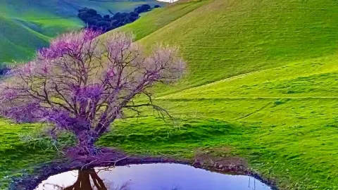 カリフォルニアの雄大な自然が、都会の喧騒を凌駕する。 — traveler post in レディング