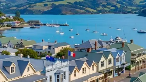 🇳🇿 Akaroa, New Zealand : A Little French Village I Loved Visiting — traveler post in Akaroa
