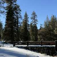 Sequoia national park just before thanksgiving 