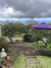 Discover the Serenity of Ali‘i Kula Lavender Farm – Maui’s Hidden Gem